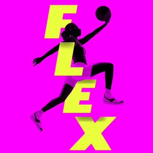 Flex - Theatrical Production