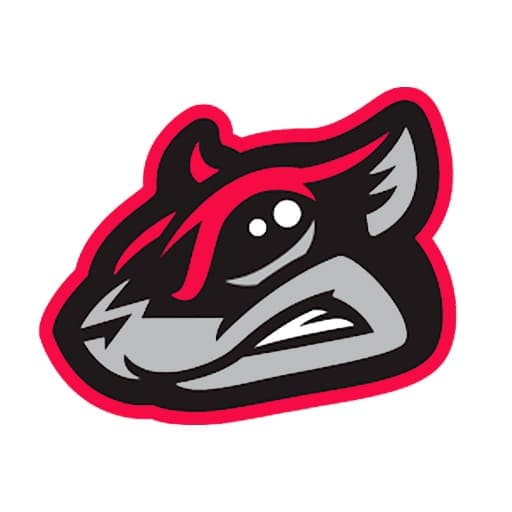 Richmond Flying Squirrels Tickets NYC Events 2024/2025