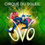 Cirque du Soleil - Ovo